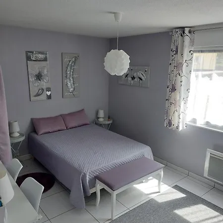 Le Cosy De Blanchepierre, Confort